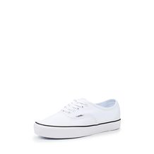 Vans  UA AUTHENTIC LITE (Canvas)truw